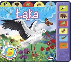 Odkrywam dźwięki Łąka - Natalia Kawałko-Dzikowska