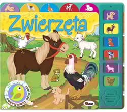 Odkrywam dźwięki Zwierzęta - Kwiecińska Mirosława