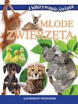 Odkrywanie świata. Młode zwierzęta