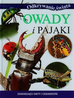 Odkrywanie świata Owady i pająki Zaskakujące fakty i ciekawostki