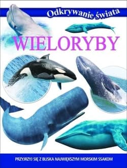Odkrywanie świata Wieloryby Przyjrzyj się z bliska największym morskim ssakom