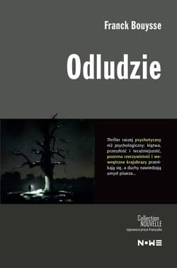 Odludzie - ebook