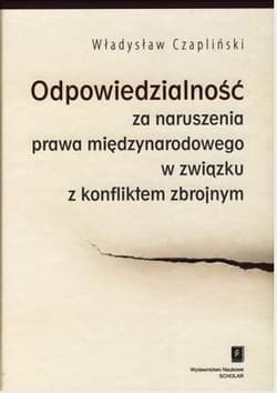 Odpowiedzialność za naruszenia prawa... - Ewa Nasalska