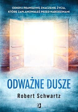 Odważne dusze Odkryj prawdziwe znaczenie życia, które zaplanowałeś przed narodzinami - Robert Schwartz