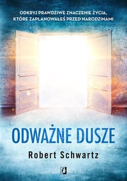 Odważne dusze Odkryj prawdziwe znaczenie życia, które zaplanowałeś przed narodzinami - Robert Schwartz