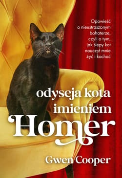 Odyseja kota imieniem Homer - ebook