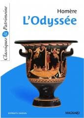 Odyssee - Homer