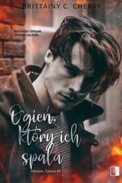 Ogień, który ich spala - Brittainy C. Cherry