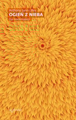 Ogień z nieba. Dar kontemplacji - Anthony Lynn Lilles