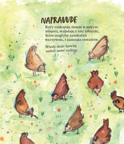 Galeria - zdjęcie nr. 2 - Ogród wujka Marka. Mici ratuje świat