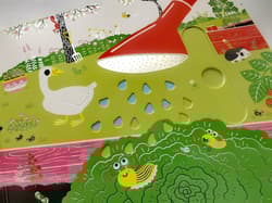 Galeria - zdjęcie nr. 3 - Ogródek warzywny. Akademia Mądrego Dziecka. Niesamowity spacer