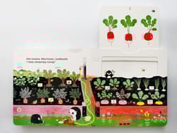 Galeria - zdjęcie nr. 4 - Ogródek warzywny. Akademia Mądrego Dziecka. Niesamowity spacer