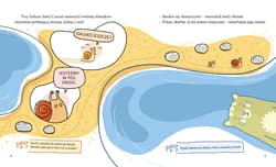 Galeria - zdjęcie nr. 4 - Ojej, ważne rzeczy!