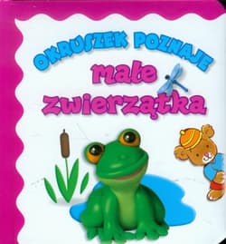 Okruszek poznaje małe zwierzątka - Anna Wiśniewska