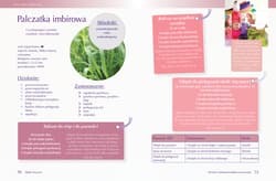 Galeria - zdjęcie nr. 2 - Olejki eteryczne. Podstawowa wiedza, mieszanki zapachowe i inne