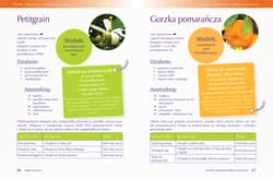 Galeria - zdjęcie nr. 4 - Olejki eteryczne. Podstawowa wiedza, mieszanki zapachowe i inne