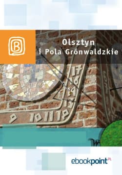 Olsztyn i Pola Grunwaldzkie. Miniprzewodnik - ebook