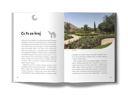 Galeria - zdjęcie nr. 2 - Oman. W deszczu na pustyni