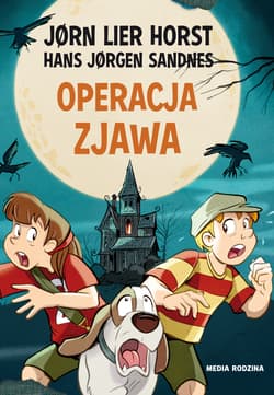 Operacja Zjawa - Jorn Lier Horst