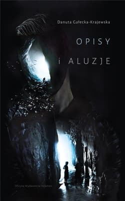 Opisy i aluzje - Danuta Gałecka-Krajewska