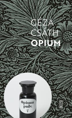 Opium Opowiadania i dzienniki - Geza Csath