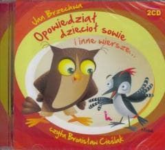 Opowiedział dzięcioł sowie... audiobook - Jan  Brzechwa