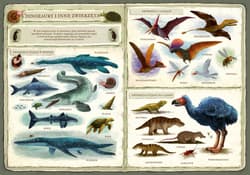 Galeria - zdjęcie nr. 2 - Opowiem ci, mamo, co robią dinozaury