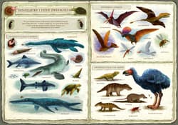 Galeria - zdjęcie nr. 2 - Opowiem ci mamo co robią dinozaury