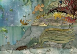 Galeria - zdjęcie nr. 2 - Opowiem ci, mamo, co robią żaby