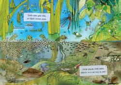 Galeria - zdjęcie nr. 3 - Opowiem ci, mamo, co robią żaby