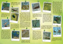 Galeria - zdjęcie nr. 4 - Opowiem ci, mamo, co robią żaby