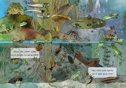 Galeria - zdjęcie nr. 5 - Opowiem ci, mamo, co robią żaby