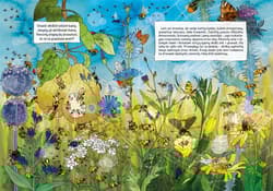 Galeria - zdjęcie nr. 2 - Opowiem ci mamo skąd się bierze miód