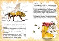 Galeria - zdjęcie nr. 3 - Opowiem ci mamo skąd się bierze miód