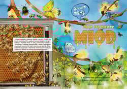 Galeria - zdjęcie nr. 4 - Opowiem ci mamo skąd się bierze miód