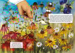 Galeria - zdjęcie nr. 5 - Opowiem ci mamo skąd się bierze miód