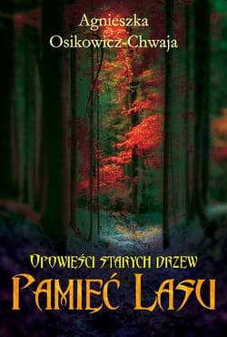 Opowieści starych drzew Pamięć lasu