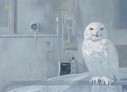 Galeria - zdjęcie nr. 4 - Opowieści z głębi miasta