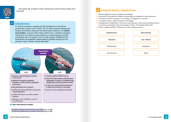 Galeria - zdjęcie nr. 2 - Organizacja transportu Kwalifikacja SPL.04. Podręcznik do zawodu technik logistyk część 1
