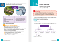 Galeria - zdjęcie nr. 4 - Organizacja transportu Kwalifikacja SPL.04. Podręcznik do zawodu technik logistyk część 1