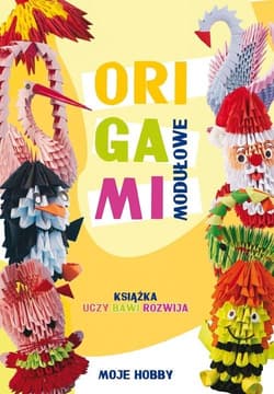 Origami modułowe - Zofia Wodzyńska