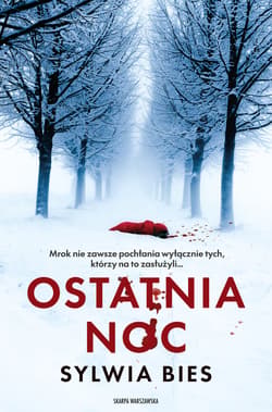 Ostatnia noc - Sylwia Bies