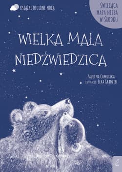 Otulone nocą Wielka Mała Niedźwiedzica