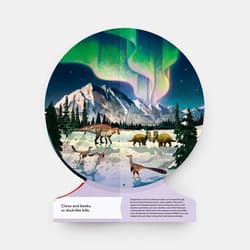 Galeria - zdjęcie nr. 5 - Our Prehistoric Planet