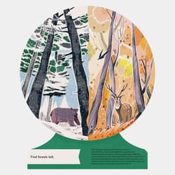 Galeria - zdjęcie nr. 5 - Our World. A First Book of Geography