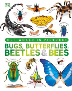 Our World in Pictures Bugs, Butterflies, Beetles and Bees - Opracowanie Zbiorowe