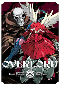 Overlord. Tom 4