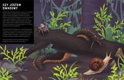 Galeria - zdjęcie nr. 3 - Owady od A do Z