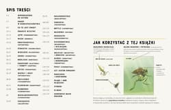 Galeria - zdjęcie nr. 4 - Owady od A do Z