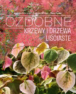 Ozdobne krzewy i drzewa liściaste - Mynett Maciej